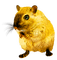 rodent - Free PNG Animated GIF