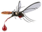 mosquito - zadarmo png animovaný GIF