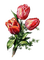 Tulpen, Rot - besplatni png animirani GIF