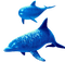dolceluna blue dolphins summer - png grátis Gif Animado
