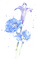 Delphinium - Free PNG Animated GIF