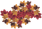 leaves fall autumn feuille leaf - png grátis Gif Animado