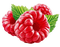 raspberry Bb2 - zadarmo png animovaný GIF