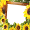 sunflower autumn frAME cadre tournesol