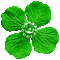 Green Animated Flower - By KittyKatLuv65