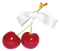 fruit cherries bp - nemokama png animuotas GIF