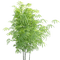 plants katrin - gratis png animeret GIF
