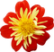 fleur gif animation adam64 - 免费PNG 动画 GIF