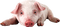 Kaz_Creations Pig - zadarmo png animovaný GIF