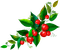 cherries Bb2 - Free PNG Animated GIF