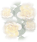 rose orange.Cheyenne63 - Free PNG Animated GIF