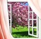 spring_summer window bg - 無料png アニメーションGIF