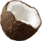 Coconut.Brown.White - png gratuito GIF animata
