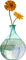 Kaz_Creations Deco Vase Flowers Plant Colours - безплатен png анимиран GIF