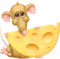 cheese käse fromage souris mouse maus deco fun tube