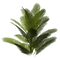 bush by nataliplus - bezmaksas png animēts GIF