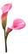 Tournesol94 fleur - ingyenes png animált GIF