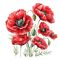 flowers - 免费PNG 动画 GIF