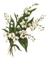 Muguet.Bouquet.Fleurs.Victoriabea - PNG gratuit GIF animé