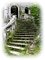 stairs stone escaliers en pierre