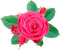 dolceluna spring pink rose - Free PNG Animated GIF