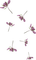 flowers - 免费PNG 动画 GIF