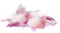 Pink red white cloud deco [Basilslament] - PNG gratuit GIF animé