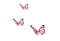pink butterflys tube - bezmaksas png animēts GIF