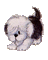 dog bp - Darmowy animowany GIF animowany gif