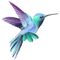 hummingbird - gratis png animeret GIF