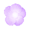 Flower, Flowers, Deco, Decoration, Purple - Jitter.Bug.Girl - Gratis geanimeerde GIF geanimeerde GIF