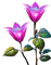 Flores - безплатен png анимиран GIF