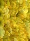 Art.Fond.Background.yellow.Victoriabea - δωρεάν png κινούμενο GIF
