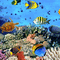 3D  underwater sea mer meer  summer ete sommer ocean ozean deep sea  undersea fond background océan  image fish poisson gif anime animated animation - GIF animé gratuit GIF animé