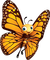 monarca cartoon - Free animated GIF