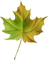 Kaz_Creations Deco  Colours  Leaves Leafs - PNG gratuit GIF animé