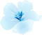 ice flower winter animated - GIF animate gratis GIF animata