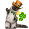 st. Patrick cat  by nataliplus - gratis png geanimeerde GIF
