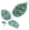 winter-leaf-turquoise-deco-minou52 - Free PNG Animated GIF