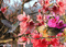 gif paisagem floral fundo - Безплатен анимиран GIF анимиран GIF