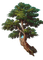arbre - bezmaksas png animēts GIF