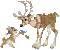 reindeer x-mas - Darmowy animowany GIF animowany gif