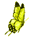 YELLOW BUTTERFLY GIF papillon jaune