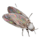 bug - darmowe png animowany gif