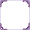 frame purple bp
