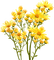 Flores amarillas - besplatni png animirani GIF
