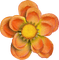 Fleur.Flower.Orange.Deco.Victoriabea - PNG gratuit GIF animé