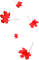 Leaves.Red - gratis png animerad GIF