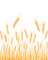 wheat Bb2 - Free PNG Animated GIF