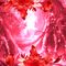 BG  landscape.flower.rose.idca - 無料のアニメーション GIF アニメーションGIF